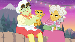 Size: 1280x720 | Tagged: safe, screencap, character:goldie delicious, character:granny smith, episode:road trippin', g4, my little pony:equestria girls, cat, clothing, derp cat, dress, female, grumpy cat, lemon squeezy, shawl