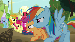 Size: 1280x720 | Tagged: safe, screencap, character:apple bloom, character:berry punch, character:berryshine, character:big mcintosh, character:carrot top, character:daisy, character:golden harvest, character:linky, character:noi, character:rainbow dash, character:scootaloo, character:shoeshine, species:pegasus, species:pony, episode:brotherhooves social, g4, my little pony: friendship is magic, crossdressing, orchard blossom