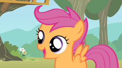 Size: 1280x720 | Tagged: safe, screencap, character:scootaloo, species:pegasus, species:pony, episode:the show stoppers, g4, my little pony: friendship is magic, female, filly, open mouth, solo