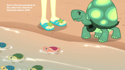 Size: 1920x1080 | Tagged: safe, screencap, character:fluttershy, character:tank, my little pony:equestria girls, aww... baby turtles, baby turtle, feet, flip-flops, sandals, sea turtle, tortoise, turtle