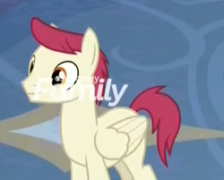 Size: 428x344 | Tagged: safe, screencap, character:sugar maple, species:pegasus, species:pony, episode:school daze, g4, my little pony: friendship is magic, background pony, cropped, discovery family logo, friendship student, male, solo, stallion