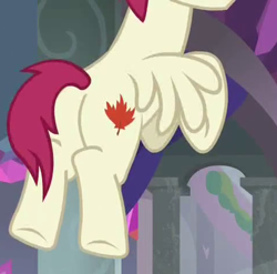 Size: 479x474 | Tagged: safe, screencap, character:sugar maple, species:pegasus, species:pony, episode:school daze, g4, my little pony: friendship is magic, background pony, canada, cropped, friendship student, male, maple, maple leaf, solo