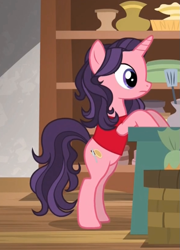 Size: 589x820 | Tagged: safe, screencap, species:pony, species:unicorn, episode:the maud couple, g4, my little pony: friendship is magic, background pony, clothing, cropped, female, jiffy bake, mare, rachael ray, shopkeeper, solo, vest