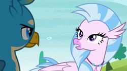 Size: 1280x720 | Tagged: safe, screencap, character:gallus, character:silverstream, episode:school daze, g4, my little pony: friendship is magic, female, looking at each other, male, smiling, smirk