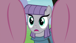 Size: 1920x1080 | Tagged: safe, screencap, character:maud pie, character:pinkie pie, episode:the maud couple, g4, my little pony: friendship is magic, first person view, hooves, offscreen character, pov