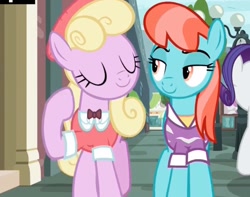Size: 1077x850 | Tagged: safe, screencap, character:luckette, character:rarity, character:strawberry ice, species:earth pony, species:pony, episode:fake it 'til you make it, cropped, duo focus, female, mare