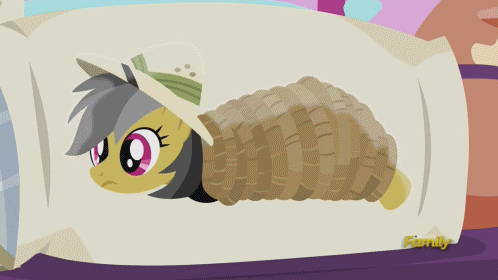 Size: 498x280 | Tagged: safe, screencap, character:daring do, character:quibble pants, character:rainbow dash, species:earth pony, species:pegasus, species:pony, episode:stranger than fanfiction, animated, body pillow, daring daki, out of context, you know for kids