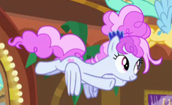 Size: 324x197 | Tagged: safe, screencap, character:cotton sky, character:sunshower raindrops, episode:grannies gone wild, g4, my little pony: friendship is magic, animation error, cropped