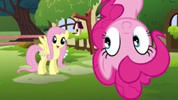 Size: 1280x720 | Tagged: safe, screencap, character:fluttershy, character:pinkie pie, species:earth pony, species:pegasus, species:pony, duo, female, fluttershy's cottage, happy birthday to you!, in which pinkie pie forgets how to gravity, mare, netflix, pinkie being pinkie, pinkie physics, upside down, voice actor joke