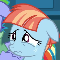 Size: 645x645 | Tagged: safe, screencap, character:windy whistles, species:pegasus, species:pony, episode:parental glideance, g4, my little pony: friendship is magic, clothing, cropped, crying, cute, floppy ears, folded wings, freckles, heartbreak, multicolored hair, sad, shirt, solo focus, wavy mouth, windybetes, wings