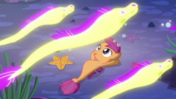 Size: 1920x1080 | Tagged: safe, screencap, character:scootaloo, species:pegasus, species:pony, species:seapony (g4), episode:surf and/or turf, g4, my little pony: friendship is magic, bioluminescent, eel, fish, glow, hooves behind head, moray eel, on back, sea-mcs, seaponified, seapony scootaloo, species swap, starfish, underwater, your heart is in two places