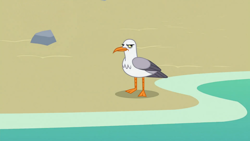 Size: 1920x1080 | Tagged: safe, screencap, species:seagull, episode:surf and/or turf, g4, my little pony: friendship is magic, animal, beach, frown, glare, grumpy, no pony, solo, water