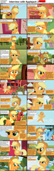 Size: 1282x4019 | Tagged: safe, screencap, character:applejack, character:big mcintosh, character:rainbow dash, species:earth pony, species:pegasus, species:pony, comic:celestia's servant interview, caption, comic, derp, female, interview, male, mare, stallion, who's a silly pony