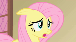 Size: 1280x720 | Tagged: safe, screencap, character:fluttershy, species:pegasus, species:pony, episode:a bird in the hoof, g4, my little pony: friendship is magic, season 1, animated, female, mare, oh my, reaction image, solo, sound, webm