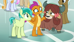 Size: 1280x720 | Tagged: safe, screencap, character:sandbar, character:smolder, character:yona, species:dragon, species:earth pony, species:pony, species:yak, episode:grannies gone wild, g4, my little pony: friendship is magic, background pony, bow, claws, cloven hooves, confused, cutie mark, dragoness, female, folded wings, friendship student, frown, hair bow, horns, looking at each other, male, monkey swings, raised eyebrow, raised hoof, shrug, stallion, teenager, wings, young stallion
