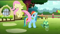 Size: 1280x720 | Tagged: safe, screencap, character:fluttershy, character:rainbow dash, character:tank, episode:may the best pet win, g4, my little pony: friendship is magic, find a pet, fluttershy's cottage, flying, singing