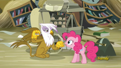 Size: 1916x1072 | Tagged: safe, screencap, character:gilda, character:pinkie pie, species:earth pony, species:griffon, species:pony, episode:the lost treasure of griffonstone, g4, my little pony: friendship is magic, book, bookshelf, butt, claws, confused, customer, demanding, duo, female, griffonstone, mare, narrowed eyes, open mouth, paws, pay up, plot, scone, sin of greed, sitting, spread wings, talking, talons, wings