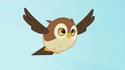 Size: 1280x720 | Tagged: safe, screencap, species:bird, species:owl, episode:may the best pet win, g4, my little pony: friendship is magic, animal, derp, flying, solo, spread wings, wings