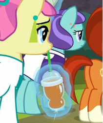 Size: 272x322 | Tagged: safe, screencap, character:carbon fizz, character:mixed berry, character:stellar flare, species:earth pony, species:pony, species:unicorn, episode:the parent map, g4, background pony, clothing, cropped, cutie mark, dress, ear piercing, earring, female, jewelry, piercing, plot, smoothie