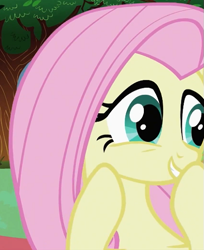 Size: 441x541 | Tagged: safe, screencap, character:fluttershy, species:pegasus, species:pony, episode:lesson zero, g4, my little pony: friendship is magic, boop, cropped, cute, female, giggling, mare, season 2, self-boop, solo
