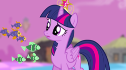 Size: 1440x809 | Tagged: safe, screencap, character:twilight sparkle, character:twilight sparkle (alicorn), species:alicorn, species:pony, episode:princess twilight sparkle, g4, my little pony: friendship is magic, big crown thingy, blurred background, chaos, female, fish, floating, jewelry, mare, purple sky, regalia, school of fish, solo