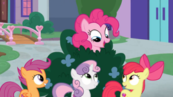 Size: 1920x1080 | Tagged: safe, screencap, character:apple bloom, character:pinkie pie, character:scootaloo, character:sweetie belle, species:pegasus, species:pony, episode:marks for effort, g4, my little pony: friendship is magic, cutie mark crusaders