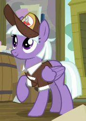 Size: 245x345 | Tagged: safe, screencap, character:appointed rounds, species:pony, episode:the break up break down, cropped, mailmare, solo