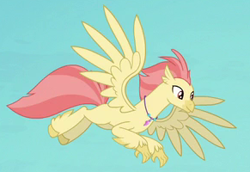 Size: 291x200 | Tagged: safe, screencap, species:classical hippogriff, species:hippogriff, episode:surf and/or turf, g4, my little pony: friendship is magic, background hippogriff, cropped, feathered fetlocks, flying, jewelry, male, necklace, spread wings, unnamed hippogriff, wings