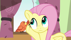 Size: 1280x720 | Tagged: safe, screencap, character:constance, character:fluttershy, species:bird, species:pegasus, species:pony, episode:flutter brutter, g4, my little pony: friendship is magic, duo, female, listening, mare, songbird, talking
