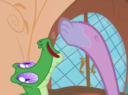 Size: 960x713 | Tagged: safe, screencap, character:gummy, character:spike, species:dragon, episode:just for sidekicks, g4, my little pony: friendship is magic, cropped, drool, faec, feet, food, golden oaks library, offscreen character, saliva on feet, season 3