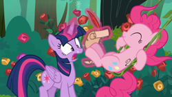 Size: 1920x1080 | Tagged: safe, screencap, character:pinkie pie, character:twilight sparkle, character:twilight sparkle (alicorn), species:alicorn, species:pony, episode:the mean 6, g4, my little pony: friendship is magic, flower, forest, quill, rose, scroll, swing, swinging