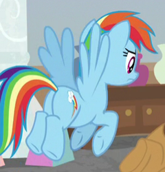 Size: 263x274 | Tagged: safe, screencap, character:rainbow dash, episode:the mean 6, g4, my little pony: friendship is magic, cropped, plot, rainbutt dash