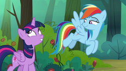 Size: 1280x720 | Tagged: safe, screencap, character:rainbow dash, character:twilight sparkle, character:twilight sparkle (alicorn), species:alicorn, species:pony, episode:the mean 6, g4, my little pony: friendship is magic, flower, forest, rose