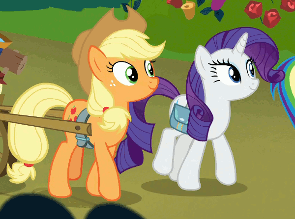 Size: 600x446 | Tagged: safe, screencap, character:applejack, character:rainbow dash, character:rarity, species:earth pony, species:pegasus, species:pony, species:unicorn, episode:the mean 6, g4, my little pony: friendship is magic, animated, clothing, cowboy hat, duo focus, female, flower, hat, mare, rose, saddle bag, trio, walk cycle, walking
