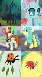 Size: 1052x1890 | Tagged: safe, screencap, character:crackle cosette, character:ocellus, character:queen chrysalis, species:changeling, species:earth pony, species:pony, species:reformed changeling, species:unicorn, episode:the mean 6, g4, my little pony: friendship is magic, changeling queen, comparison, cropped, cutie mark, disguise, disguised changeling, female, glowing horn, ladybug, magic, mare, mommy chrissy, photo, pony ocellus, possible relation, slowpoke, telekinesis