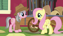 Size: 640x360 | Tagged: safe, screencap, character:fluttershy, character:wrangler, species:earth pony, species:pegasus, species:pony, episode:fluttershy leans in, g4, my little pony: friendship is magic, duo, duo female, female