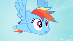 Size: 1280x720 | Tagged: safe, screencap, character:rainbow dash, episode:may the best pet win, g4, my little pony: friendship is magic, flying, shocked, sky, solo