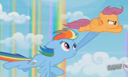 Size: 680x414 | Tagged: safe, screencap, character:rainbow dash, character:scootaloo, species:pegasus, species:pony, episode:sleepless in ponyville, g4, my little pony: friendship is magic, cute, faux flying