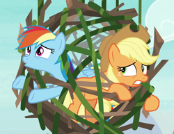 Size: 1396x1079 | Tagged: safe, screencap, character:applejack, character:rainbow dash, species:earth pony, species:pegasus, species:pony, episode:non-compete clause, g4, my little pony: friendship is magic, branches, cropped, duo, female, gritted teeth, mare, tied up, trapped, vine