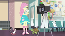 Size: 1280x720 | Tagged: safe, screencap, character:angel bunny, character:fluttershy, species:dog, episode:outtakes, g4, my little pony:equestria girls, cat, pup-pup, sandals, turtle