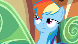 Size: 1920x1080 | Tagged: safe, screencap, character:rainbow dash, episode:the lost treasure of griffonstone, g4, my little pony: friendship is magic, solo