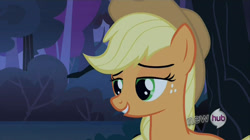 Size: 1280x719 | Tagged: safe, screencap, character:applejack, episode:sleepless in ponyville, g4, my little pony: friendship is magic, image macro, lidded eyes, solo