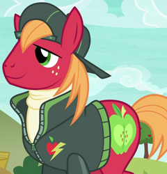 Size: 865x900 | Tagged: safe, screencap, character:big mcintosh, episode:buckball season, g4, my little pony: friendship is magic, clothing, cropped, outfit catalog, solo