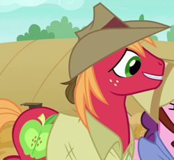 Size: 1120x1030 | Tagged: safe, screencap, character:big mcintosh, episode:hard to say anything, g4, my little pony: friendship is magic, clothing, cropped, outfit catalog, solo