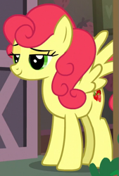 Size: 375x554 | Tagged: safe, screencap, character:strawberry sunrise, species:pegasus, species:pony, episode:honest apple, g4, my little pony: friendship is magic, cropped, door, female, lidded eyes, mare, solo, strawberry savage