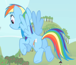 Size: 326x279 | Tagged: safe, screencap, character:rainbow dash, species:pegasus, species:pony, episode:bats!, g4, my little pony: friendship is magic, cropped, female, flying, mare, plot, solo