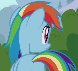 Size: 523x480 | Tagged: safe, screencap, character:rainbow dash, species:pegasus, species:pony, episode:it ain't easy being breezies, g4, my little pony: friendship is magic, bush, cropped, female, folded wings, mare, plot, solo