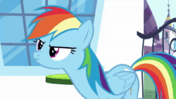 Size: 1280x720 | Tagged: safe, screencap, character:cinnamon chai, character:rainbow dash, character:rarity, species:pegasus, species:pony, species:unicorn, episode:rarity investigates, g4, my little pony: friendship is magic, adorable distress, angry, animated, clothing, cute, dashabetes, drama queen, dress, female, madorable, mare, rainbowdrama, sound, webm, yelling