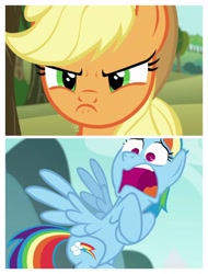 Size: 3106x4096 | Tagged: safe, screencap, character:applejack, character:rainbow dash, episode:no second prances, g4, my little pony: friendship is magic, crossing the memes, meme