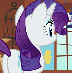 Size: 707x718 | Tagged: safe, screencap, character:rarity, species:pony, species:unicorn, episode:fluttershy leans in, g4, my little pony: friendship is magic, beautiful, cropped, cute, cutie mark, female, fluttershy's cottage, mare, plot, smiling, solo
